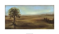 Panoramic Field II Framed Print
