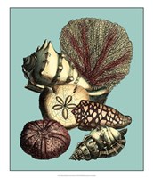 Printed Shell & Coral Collection I Framed Print