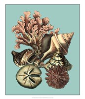 Printed Shell & Coral Collection II Framed Print