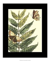 Butterflies & Leaves I Fine Art Print