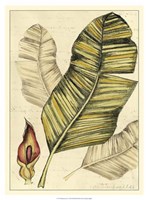 Reminiscence I Fine Art Print