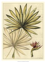 Reminiscence IV Fine Art Print