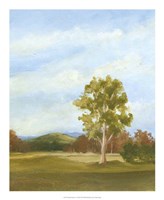 Summer Horizons VI Fine Art Print