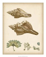 Coastal Memories I Fine Art Print