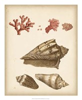 Coastal Memories II Fine Art Print