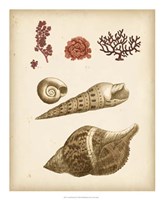 Coastal Memories IV Fine Art Print