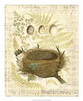 Melodic Nest & Eggs II Framed Print