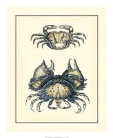 Antique Blue Crabs I Fine Art Print