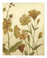 Wildflower Field I Fine Art Print