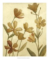 Wildflower Field II Fine Art Print