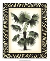 Palm in Zebra Border II Framed Print