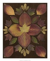 Kaleidoscope Leaves V Fine Art Print