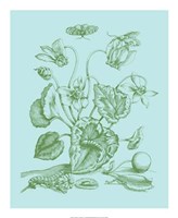 Spring Cyclamen I Framed Print