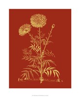 Paprika Bouquet I Fine Art Print