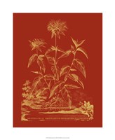 Paprika Bouquet II Fine Art Print