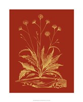 Paprika Bouquet III Fine Art Print