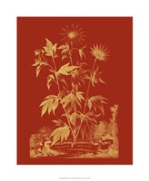 Paprika Bouquet IV Fine Art Print