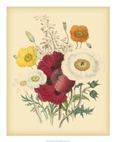 Garden Bouquet II Fine Art Print