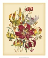 Garden Bouquet III Fine Art Print