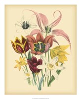 Garden Bouquet IV Fine Art Print