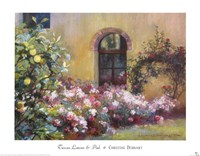 Tuscan Lemons And Pink Framed Print