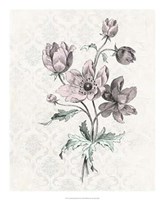 Victorian Blooms II Fine Art Print