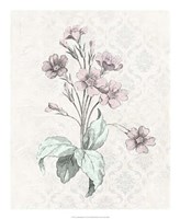 Victorian Blooms IV Fine Art Print