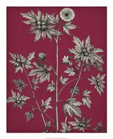 Vivid Chintz II Fine Art Print