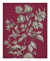 Vivid Chintz III Fine Art Print