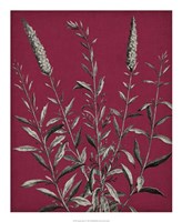 Vivid Chintz V Fine Art Print