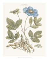 Bashful Blue Florals I Fine Art Print
