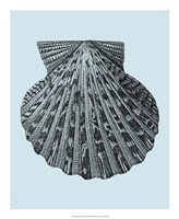 Shells on Aqua III Fine Art Print