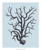 Coral on Aqua I Fine Art Print