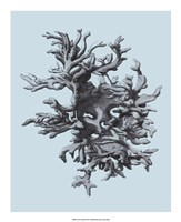 Coral on Aqua III Fine Art Print