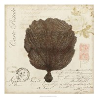 Romance du Mer II Fine Art Print