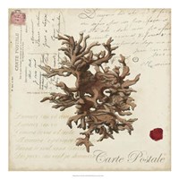 Romance du Mer III Fine Art Print