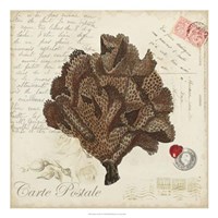 Romance du Mer IV Fine Art Print