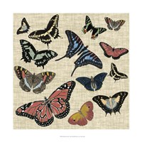 Butterflies & Linen I Framed Print