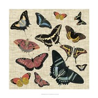 Butterflies & Linen II Framed Print