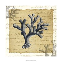 La Vie en Mer II Fine Art Print