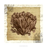 La Vie en Mer III Fine Art Print