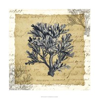 La Vie en Mer IV Fine Art Print