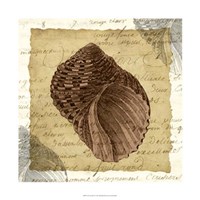 La Vie en Mer VI Fine Art Print