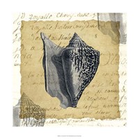 La Vie en Mer VII Fine Art Print