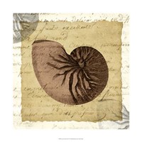 La Vie en Mer VIII Fine Art Print