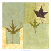 Earth Elements II Framed Print