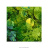 Nautilus in Green II Fine Art Print