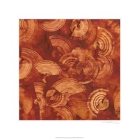 Nautilus in Rust II Fine Art Print