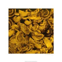 Nautilus in Gold I Fine Art Print