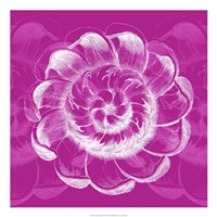 Chromatic Rosette I Fine Art Print